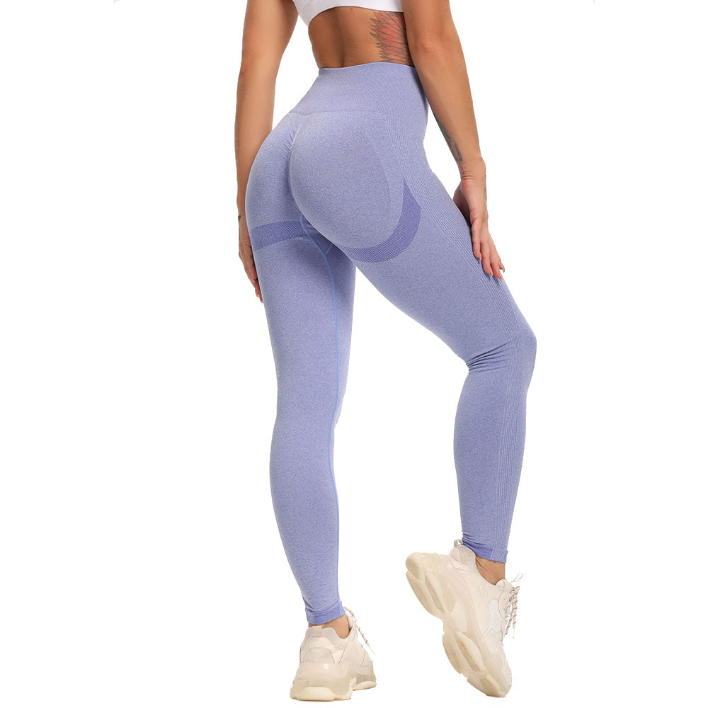 Seamless Booty Enhanced Leggings