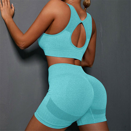 2-Piece Gym Set Crop Top and Sports Bra