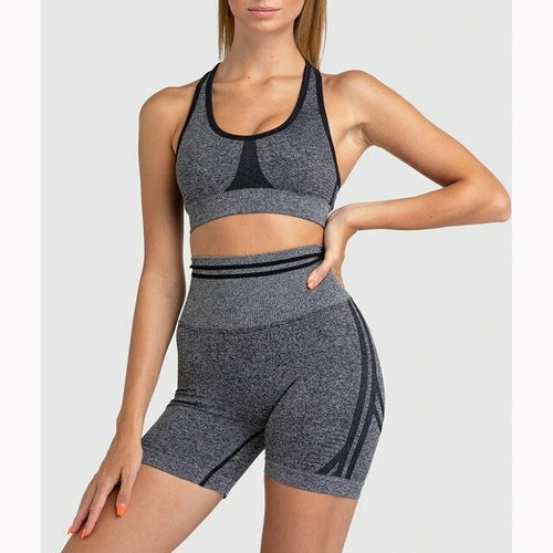 2 Pieces Seamless Workout Set