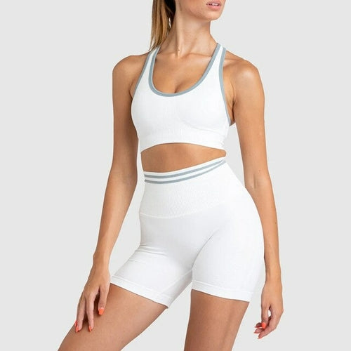 2 Pieces Seamless Workout Set