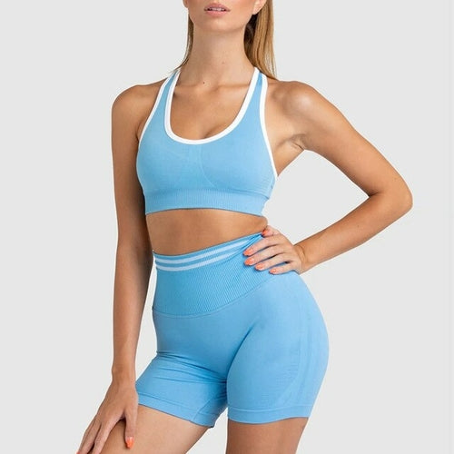 2 Pieces Seamless Workout Set