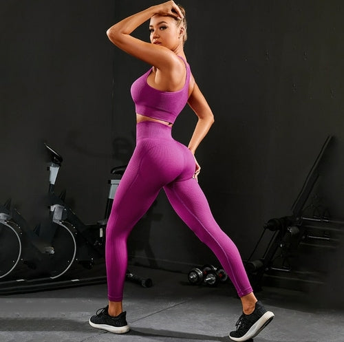 Seamless 2-Pieces Workout Yoga Outfit