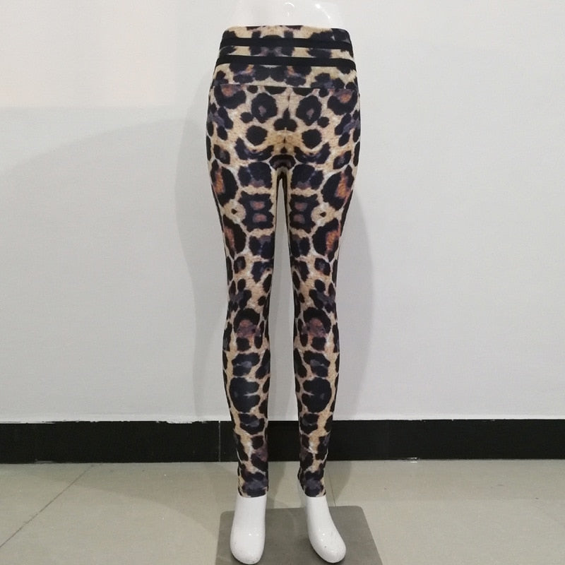 Leopard Print Leggings