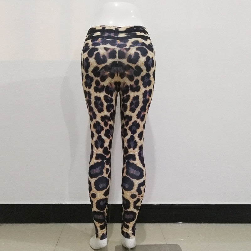 Leopard Print Leggings